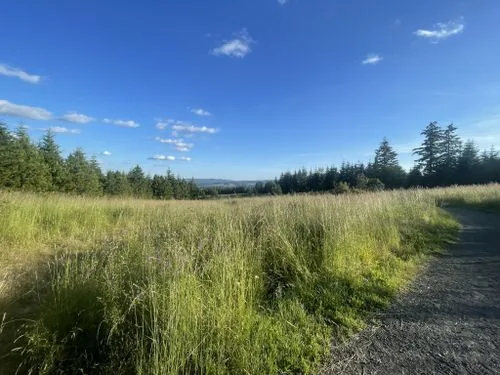 Cooper Mountain Nature Park, Beaverton Oregon